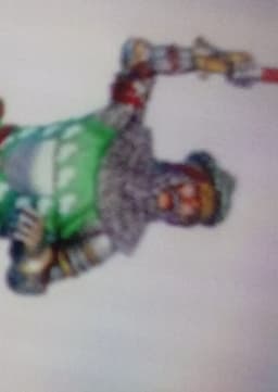 Sir Thomas Erpingham