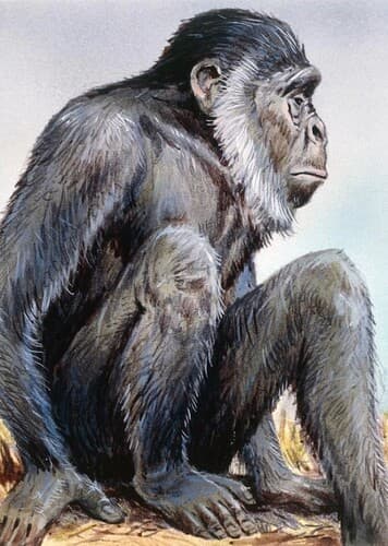 Sivapithecus