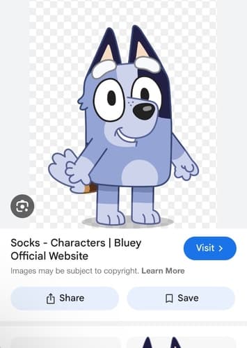 Socks