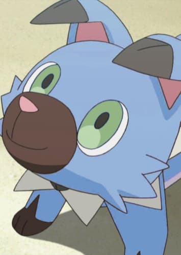 Sonic's Rockruff