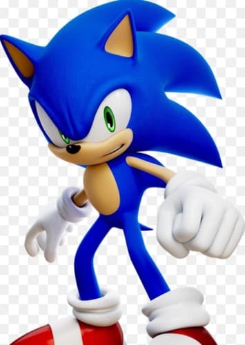 Sonic the hedgehog