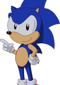 Sonic the hedgehog
