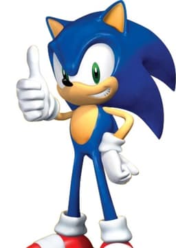 Sonic the hedgehog