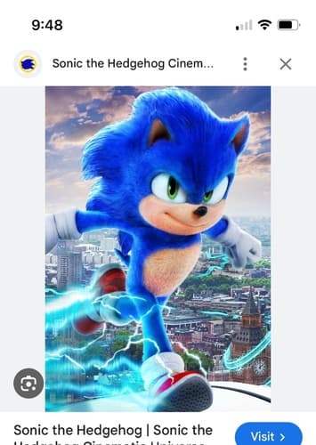Sonic the hedgehog