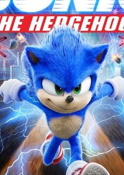 Sonic the hedgehog