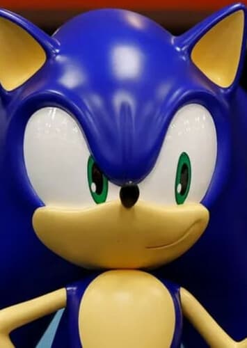 Sonic the hedgehog