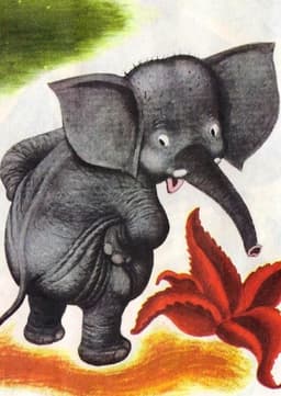 Sooki the Saggy Baggy Elephant