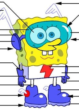 Spangebob tom kenny