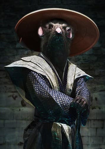 Splinter