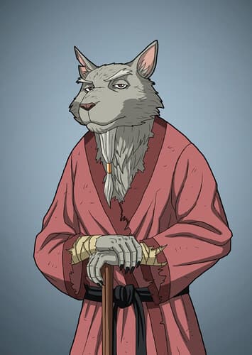 Splinter