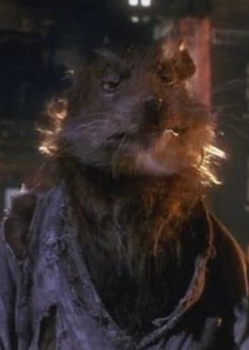 Splinter‎‎