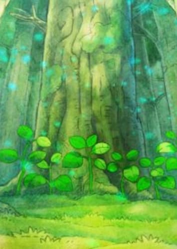 Starter Options (Forest)