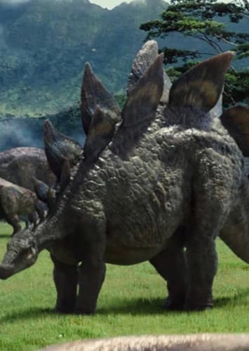 Stegosaurus