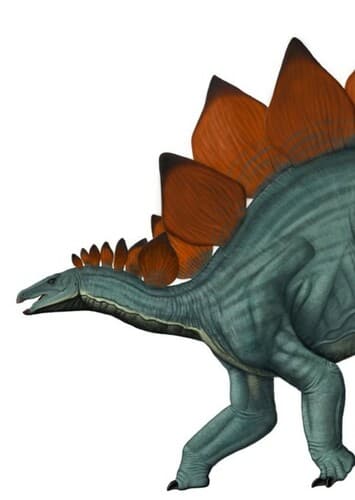 Stegosaurus