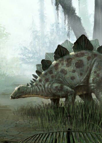 Stegosaurus