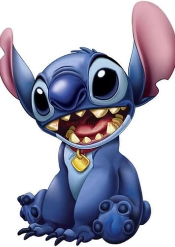 Stitch