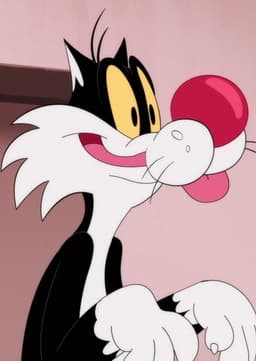 Sylvester