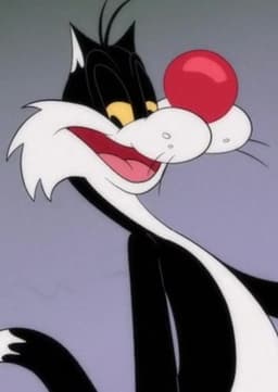 Sylvester
