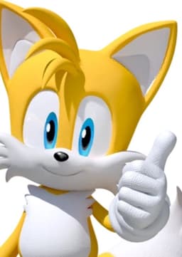 Tails The Fox