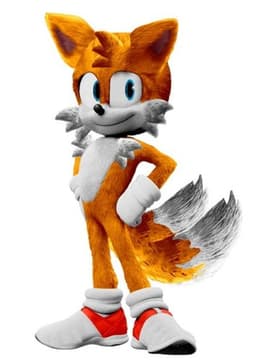 Tails The Fox