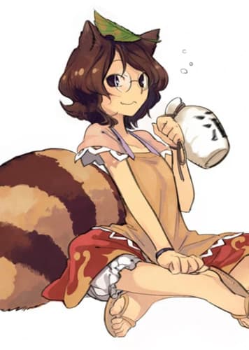 Tanuki Physiology