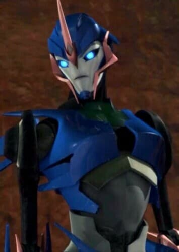 TFP arcee