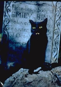 Thackery Binx