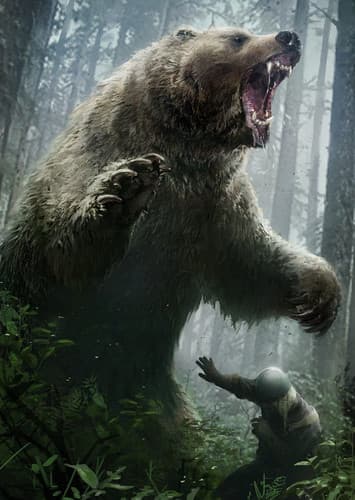 The Bear