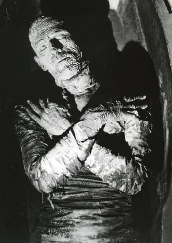 The Mummy