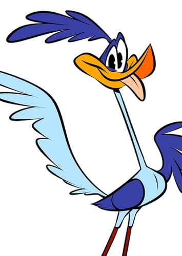 The Road Runner