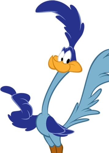 The Road Runner