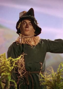 The Scarecrow