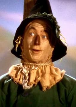 The Scarecrow (The Wizard of Oz)
