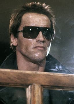 The Terminator