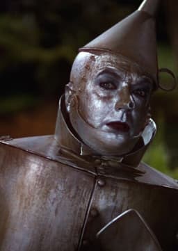 The Tin Man (The Wizard of Oz)