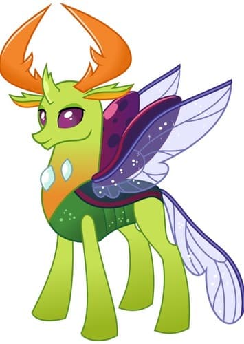Thorax