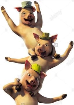Three Little Pigs