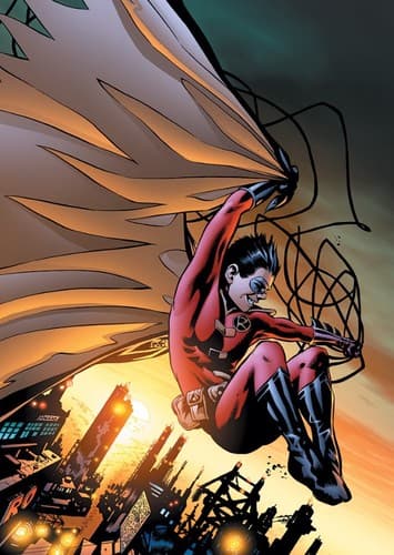 Tim Drake