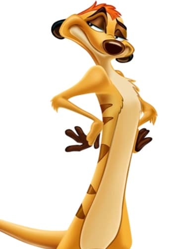 Timon