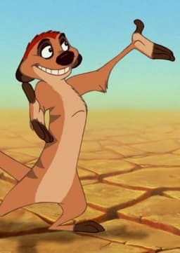 Timon