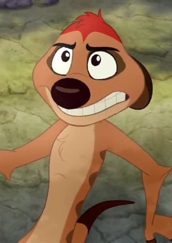 Timon