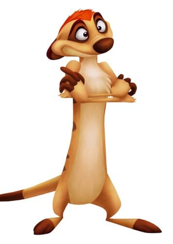 Timon