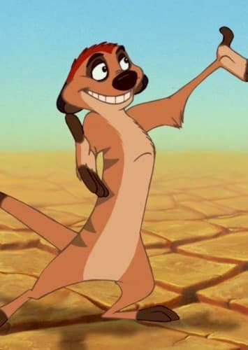 Timon