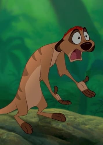 Timon