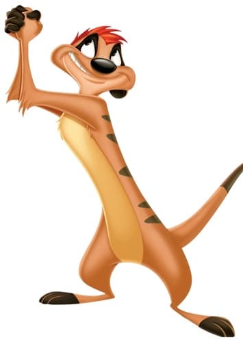 Timon