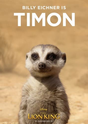 TIMON