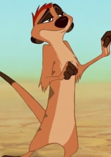 Timon