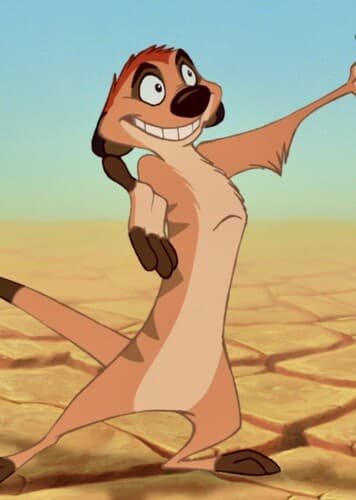 Timon