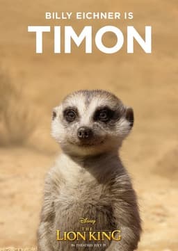 Timon