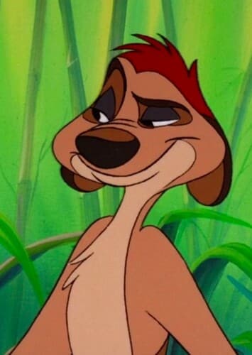 Timon